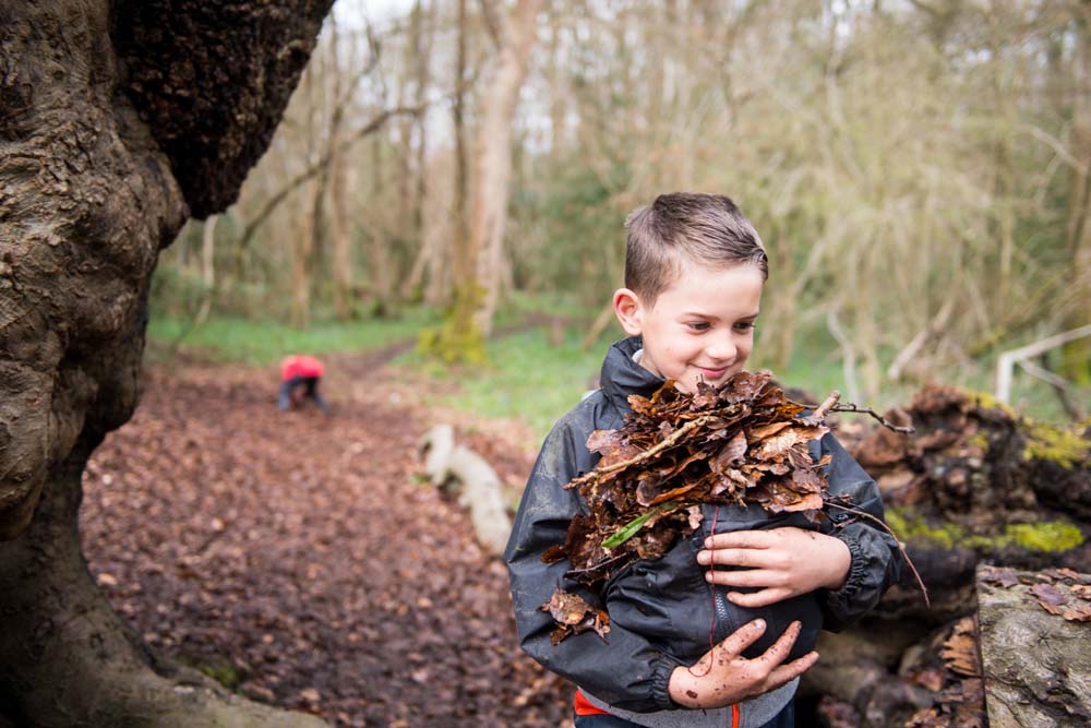 cub-carrying-leaves-jpg